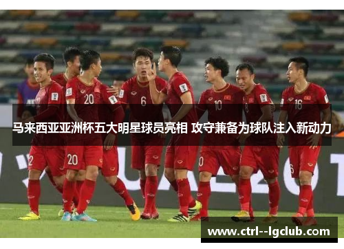 马来西亚亚洲杯五大明星球员亮相 攻守兼备为球队注入新动力
