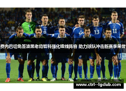 费内巴切免签波黑老将哲科强化锋线阵容 助力球队冲击新赛季荣誉