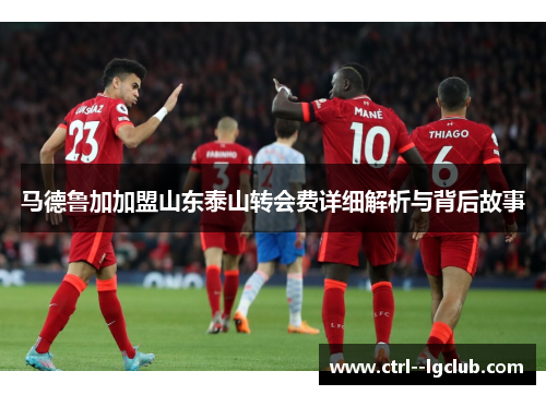 马德鲁加加盟山东泰山转会费详细解析与背后故事